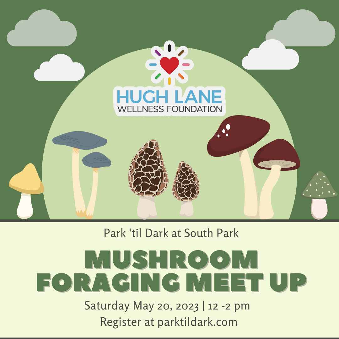 Mushroom Foraging Meet Up | Hugh Lane Wellness
